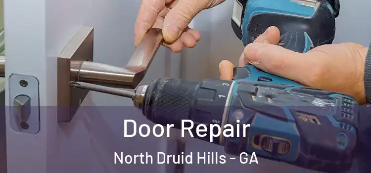 Door Repair North Druid Hills - GA