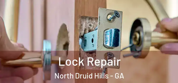 Lock Repair North Druid Hills - GA